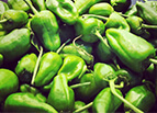 Padron Pepper Seeds