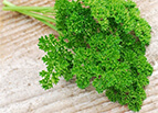 Forest Green Parsley Seeds 