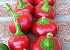 Large Red Cherry Pepper Seeds