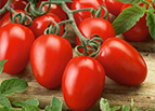 Roma Tomato Seeds 