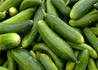Diva Cucumber Seeds 