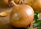 Walla Walla Sweet Onion Seeds 