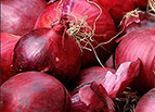 Red Creole Onion Seeds 
