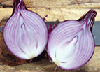 Red Grano Onion Seeds 