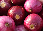 Ruby Red Onion Seeds 