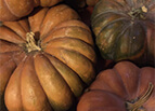 Musquee de Provence Pumpkin Seeds 