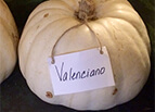 Valenciano Pumpkin Seeds 