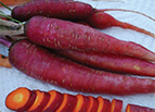 Purple Dragon Carrot Seeds 