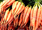 Scarlet Nantes Carrot Seeds 